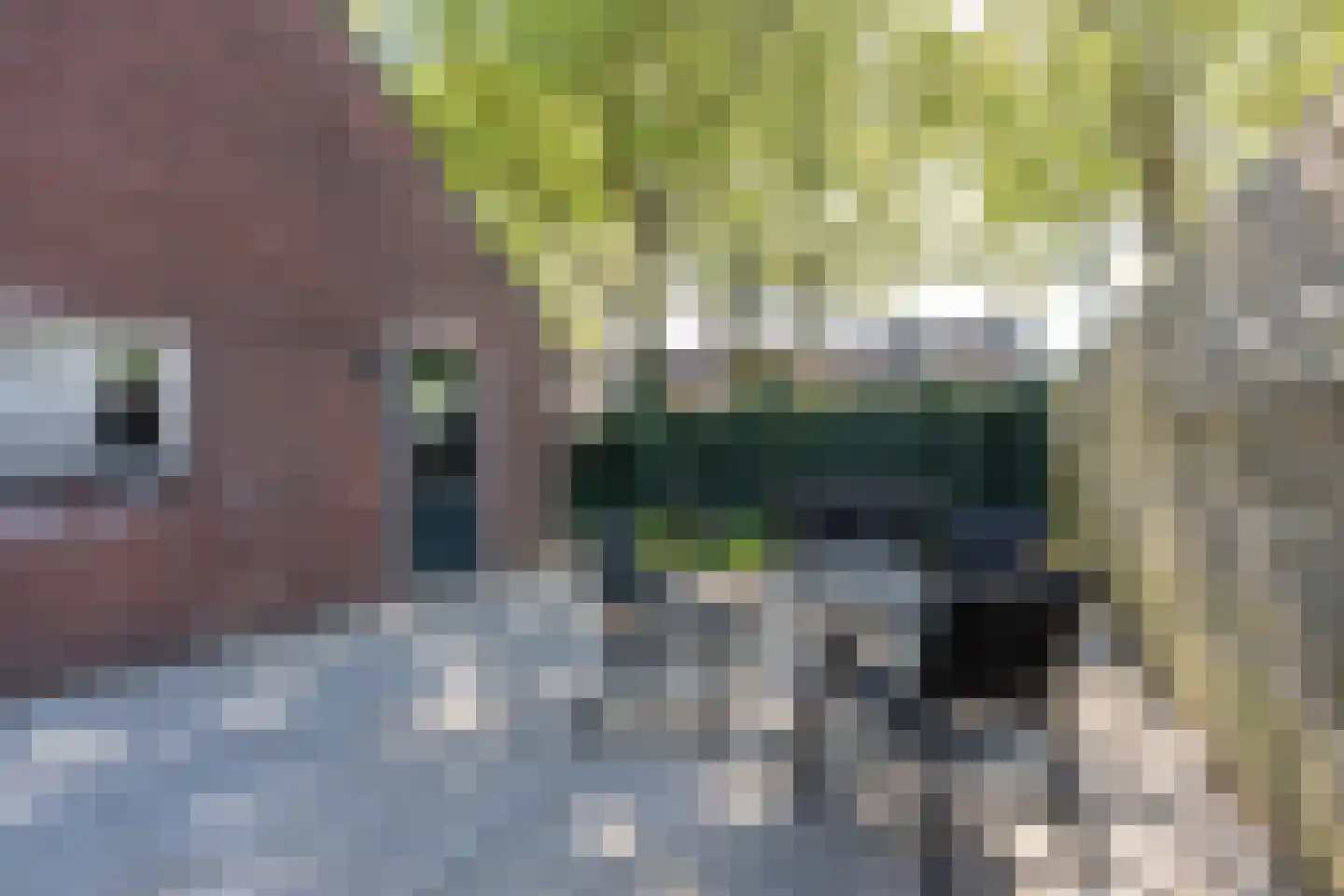 Kalmoes 8 Nieuw-Buinen thumbnail 33