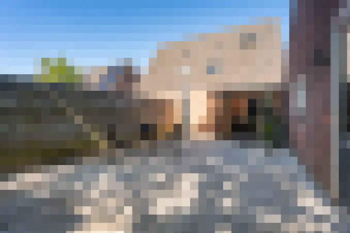 Kalmoes 8 Nieuw-Buinen thumbnail 34