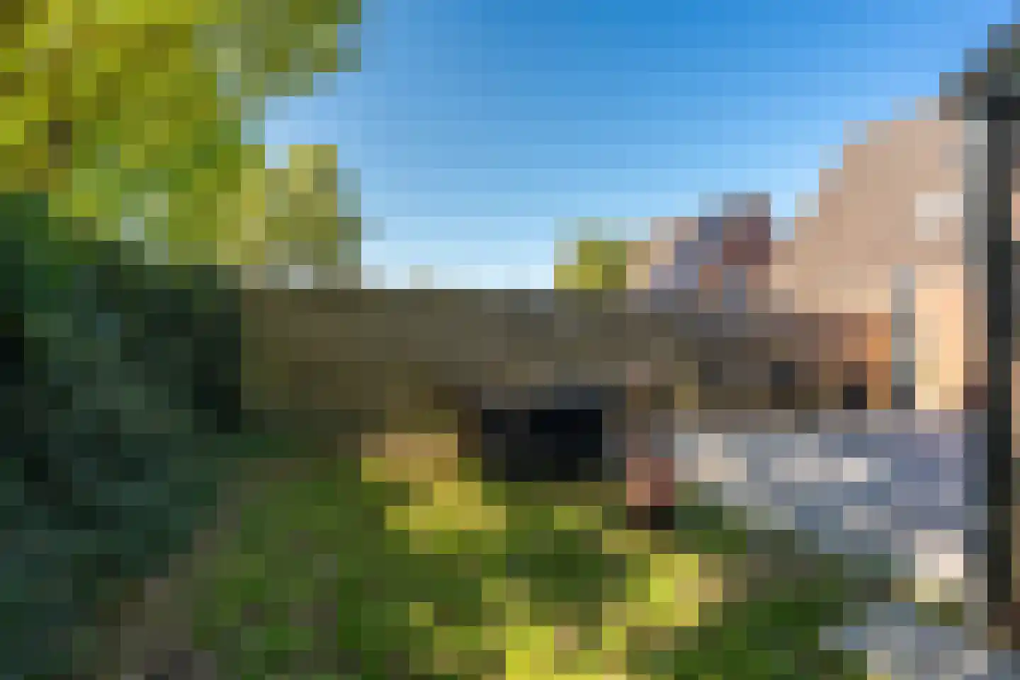 Kalmoes 8 Nieuw-Buinen thumbnail 35