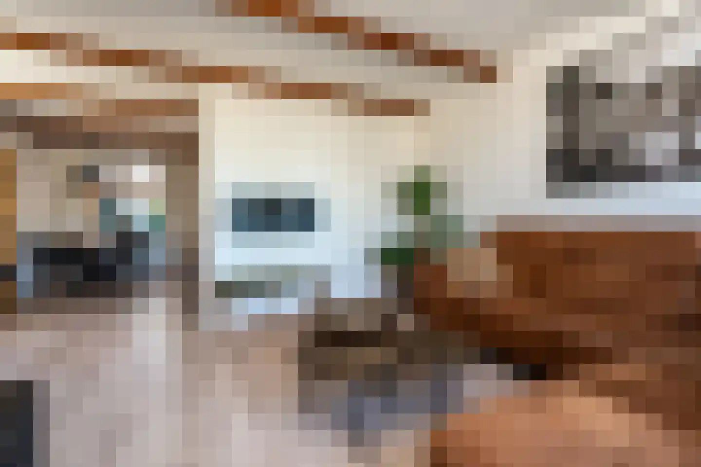 Kalmoes 8 Nieuw-Buinen thumbnail 8