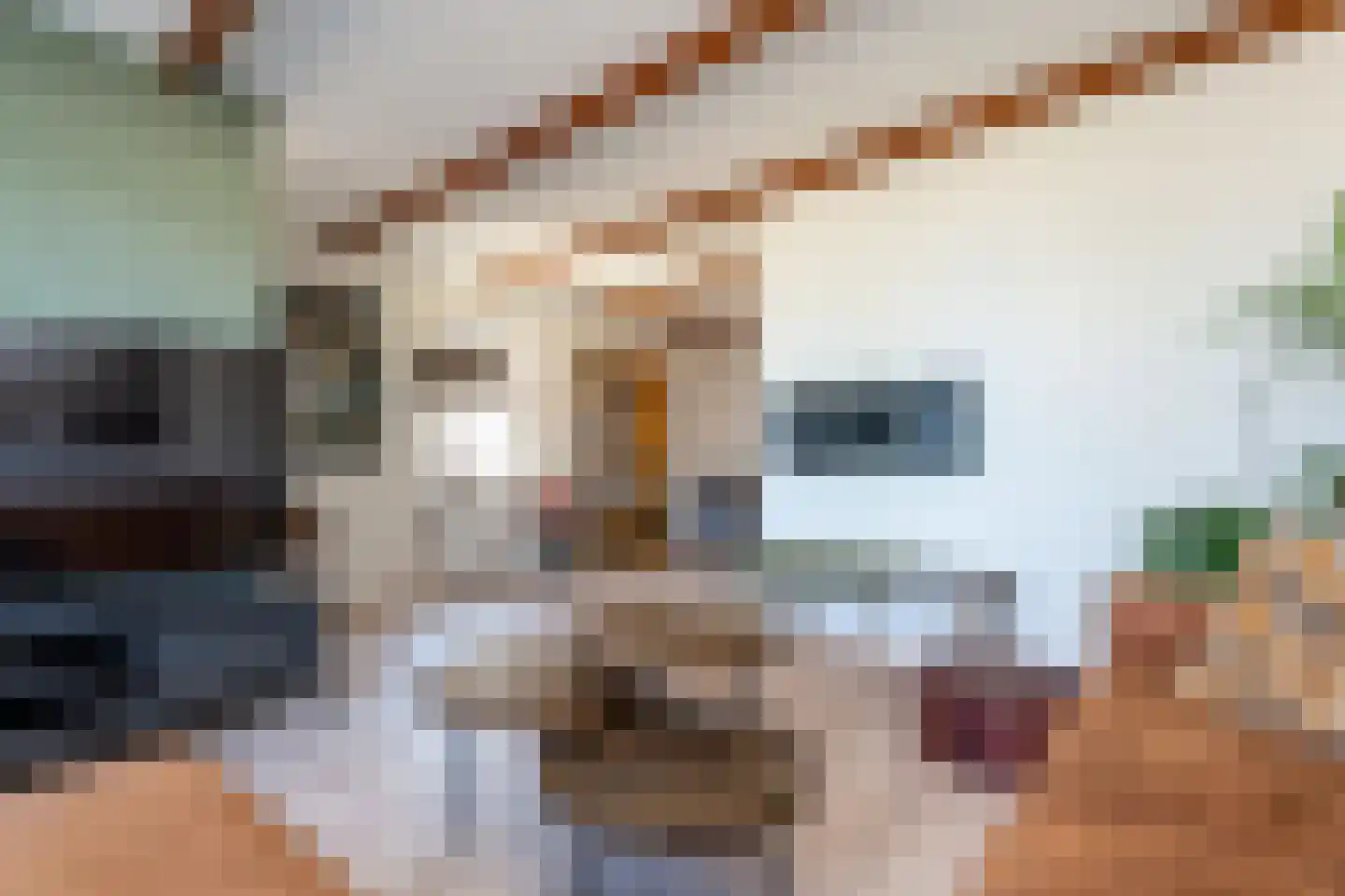 Kalmoes 8 Nieuw-Buinen thumbnail 9
