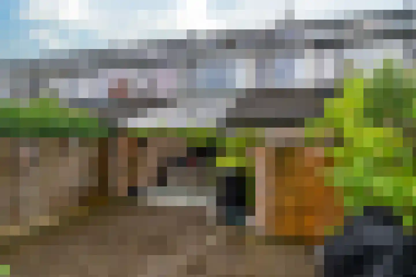 Kalmoes 9 Leeuwarden thumbnail 37