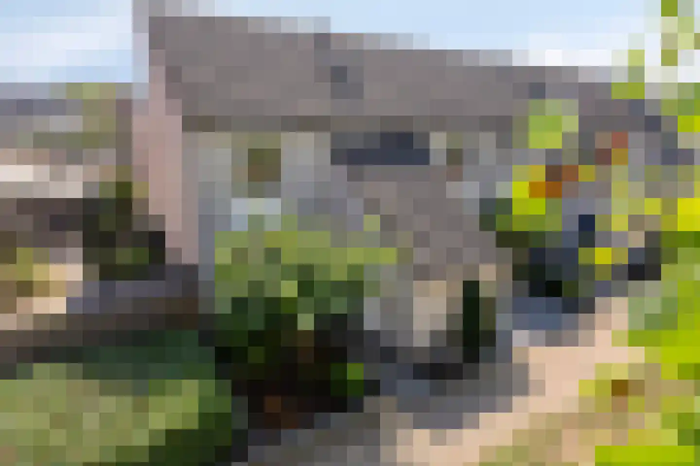 Kalmoesberg 12 Roosendaal thumbnail 26