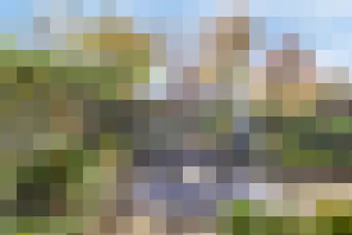 Kalmoesberg 15 Roosendaal thumbnail 44