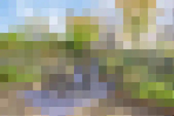 Kalmoesberg 15 Roosendaal thumbnail 47