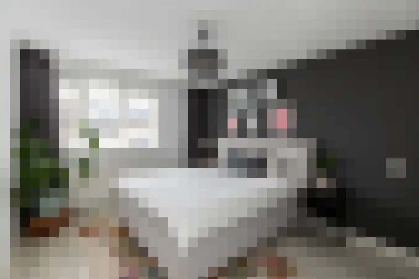 Kalmoesdreef 12 Papendrecht thumbnail 13