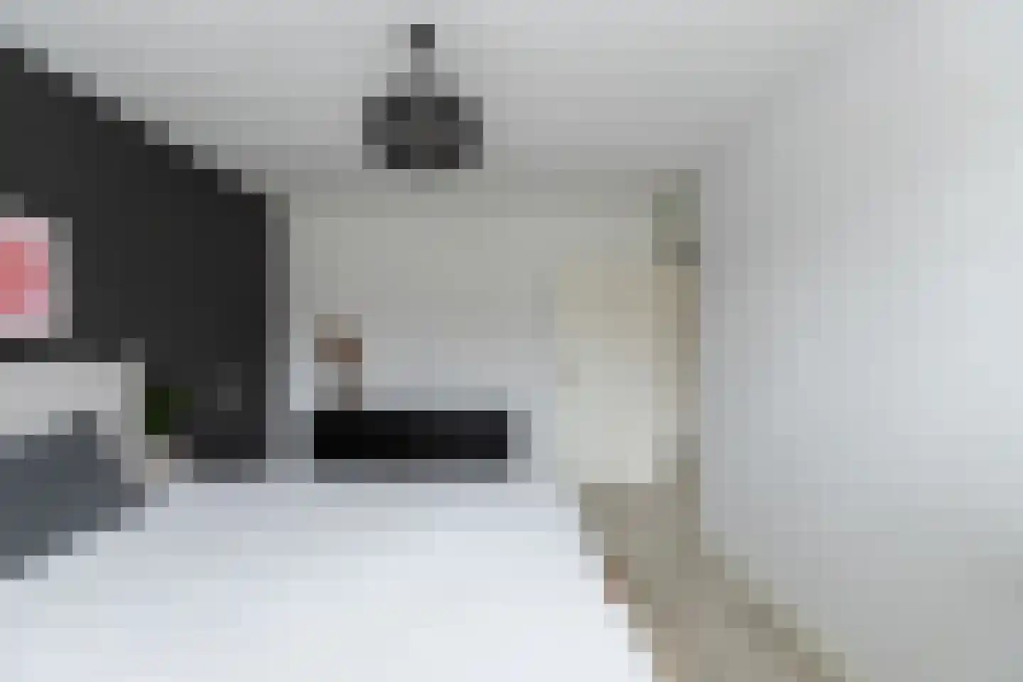 Kalmoesdreef 12 Papendrecht thumbnail 14