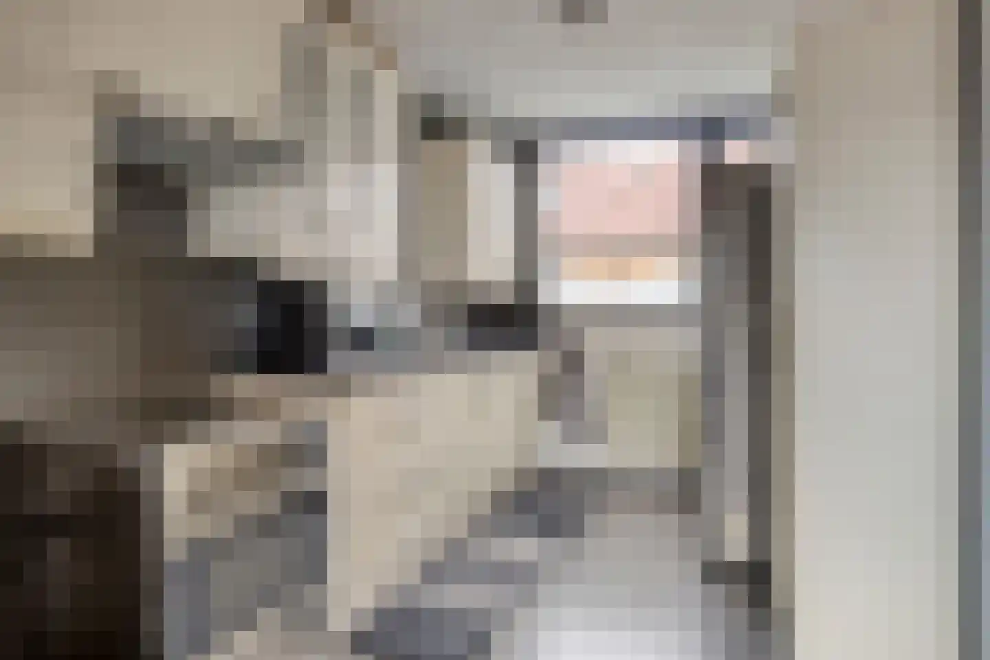 Kalmoesdreef 16 Spijkenisse thumbnail 10