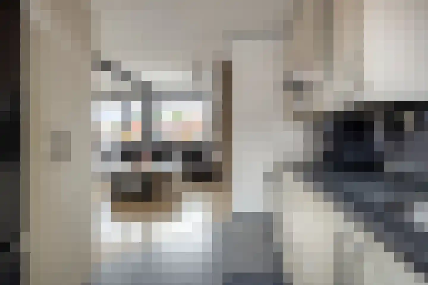 Kalmoesdreef 16 Spijkenisse thumbnail 11