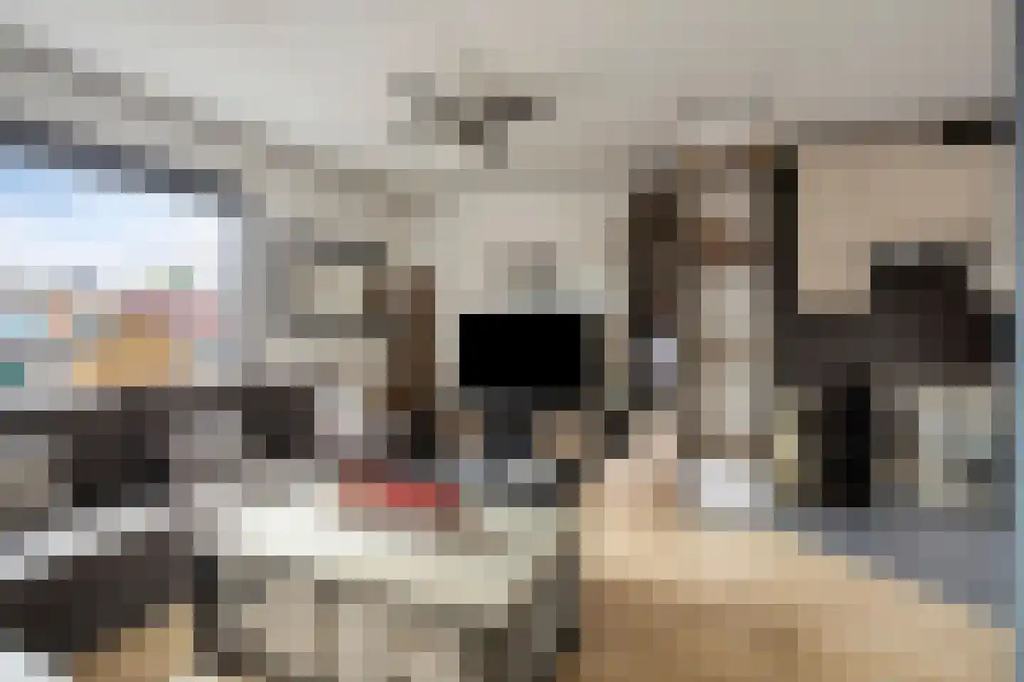 Kalmoesdreef 16 Spijkenisse thumbnail 9
