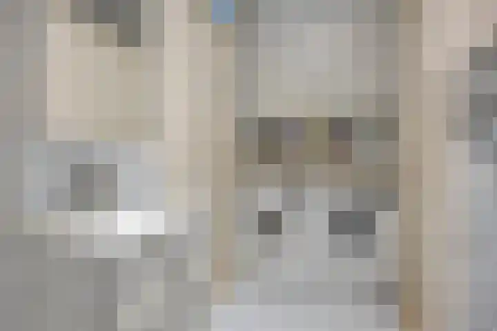 Kalmoesdreef 41 Spijkenisse thumbnail 14