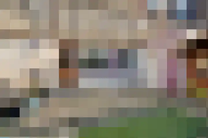 Kalmoesdreef 41 Spijkenisse thumbnail 16