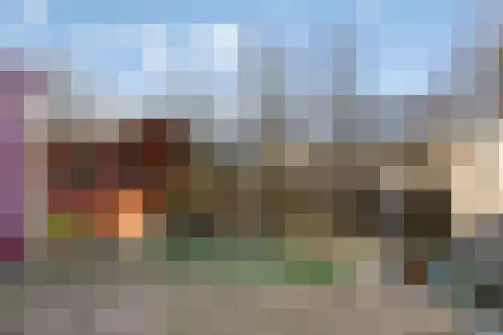 Kalmoesdreef 41 Spijkenisse thumbnail 17