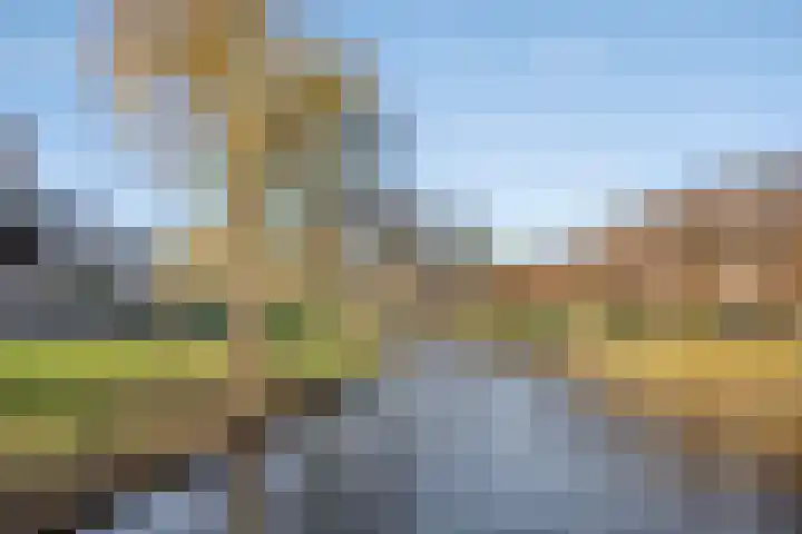 Kalmoesdreef 41 Spijkenisse thumbnail 27