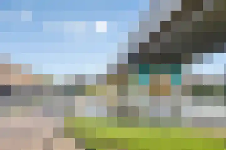Kalmoesdreef 41 Spijkenisse thumbnail 28