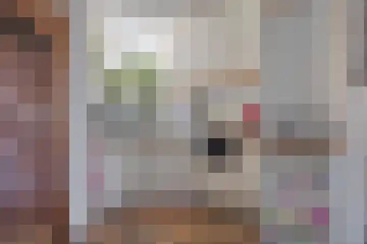 Kalmoesdreef 41 Spijkenisse thumbnail 8