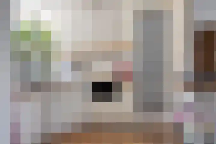 Kalmoesdreef 41 Spijkenisse thumbnail 9