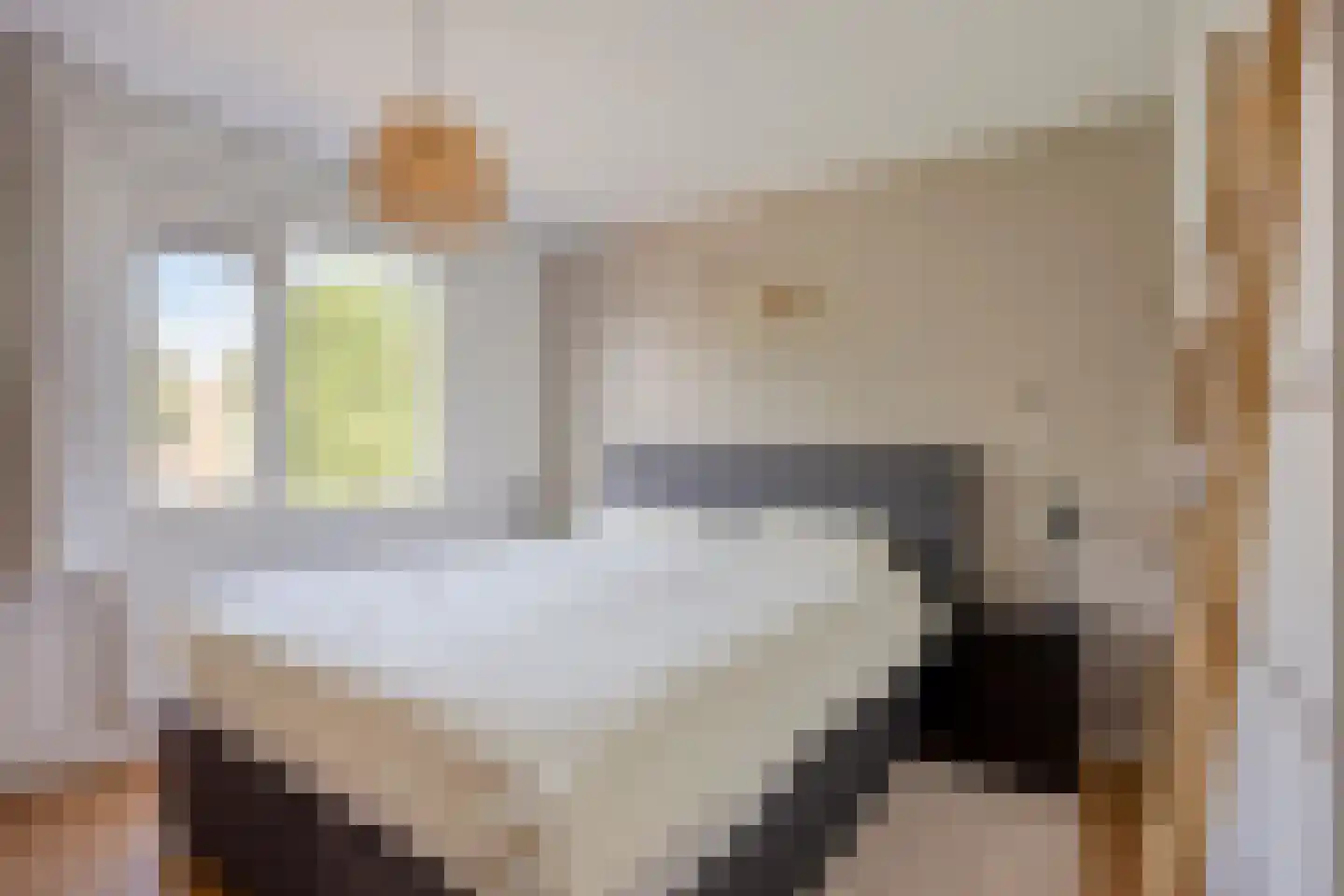Kalmoesdreef 49 Spijkenisse thumbnail 16