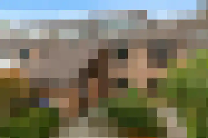 Kalmoeskreek 17 en Leiderdorp