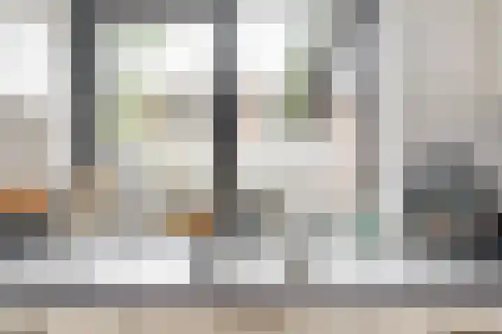 Kalmoeskreek 17 Leiderdorp thumbnail 10