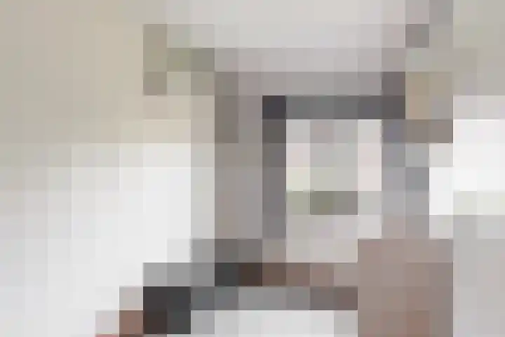 Kalmoeskreek 17 Leiderdorp thumbnail 15