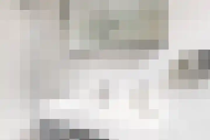 Kalmoeskreek 17 Leiderdorp thumbnail 18