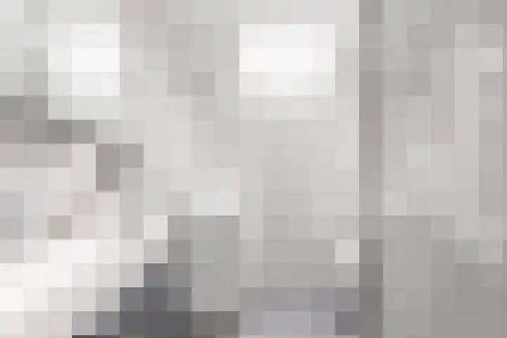 Kalmoeskreek 17 Leiderdorp thumbnail 19