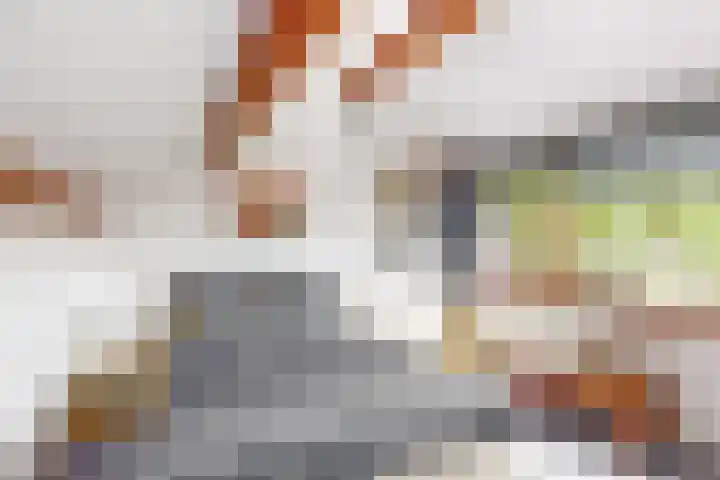Kalmoeskreek 17 Leiderdorp thumbnail 20