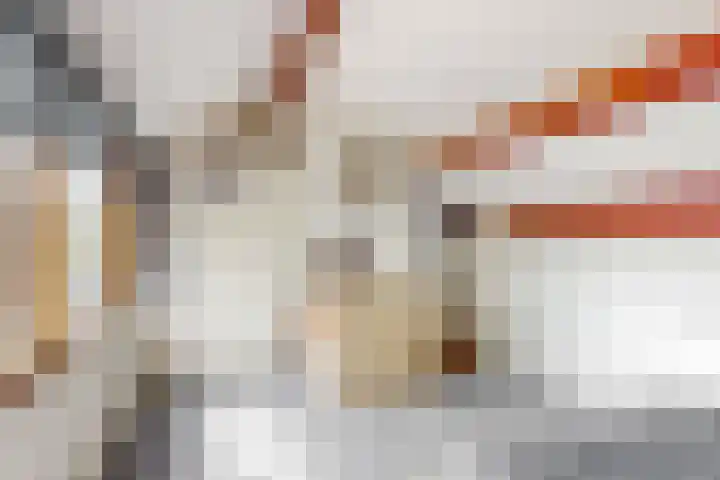 Kalmoeskreek 17 Leiderdorp thumbnail 21