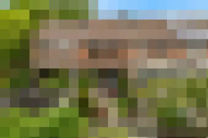 Kalmoeskreek 17 Leiderdorp thumbnail 22