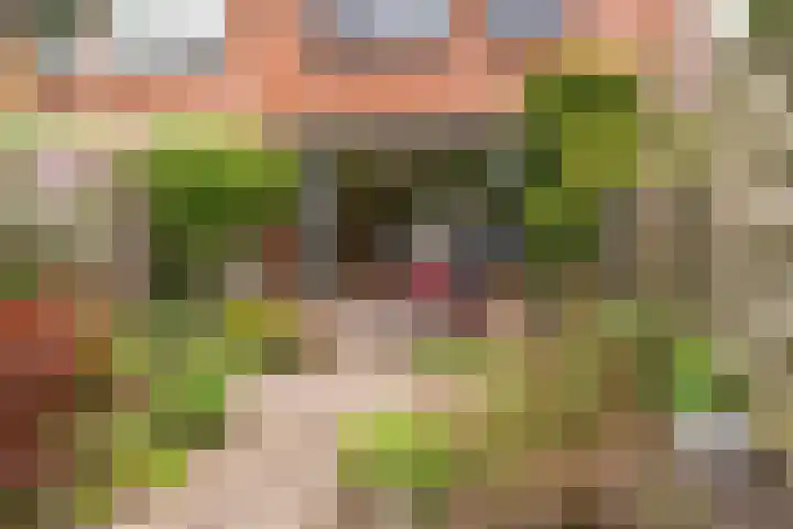 Kalmoeskreek 17 Leiderdorp thumbnail 23