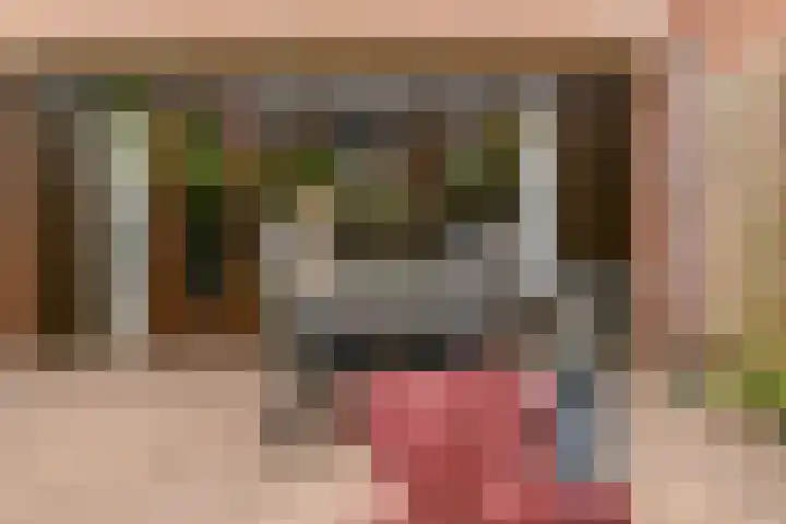Kalmoeskreek 17 Leiderdorp thumbnail 25