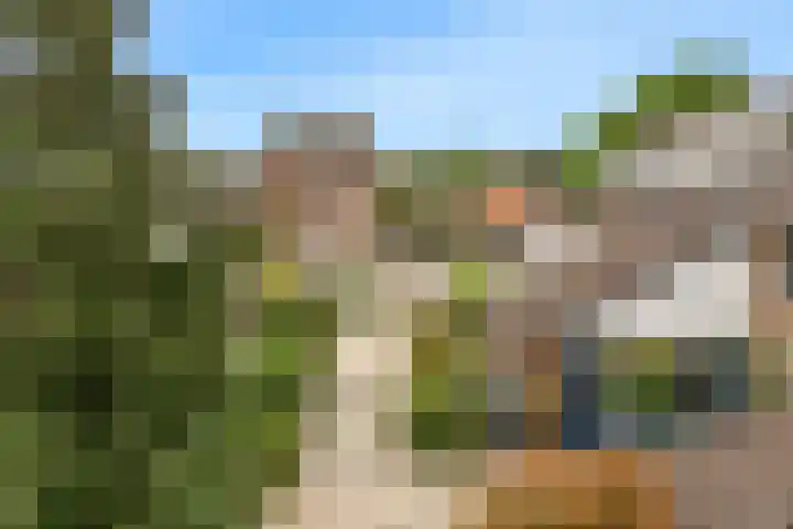 Kalmoeskreek 17 Leiderdorp thumbnail 28