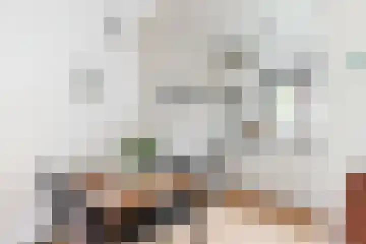 Kalmoeskreek 17 Leiderdorp thumbnail 8
