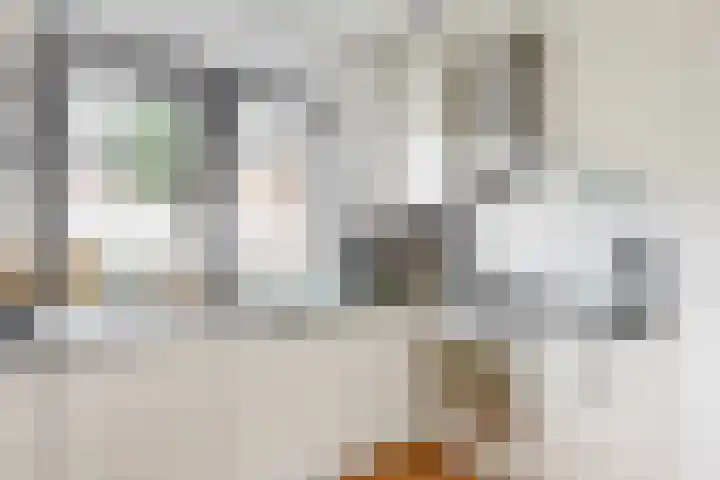 Kalmoeskreek 17 Leiderdorp thumbnail 9