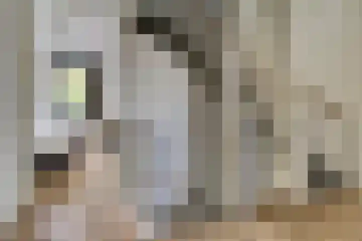 Kalmoeslaan 27 Elst thumbnail 13