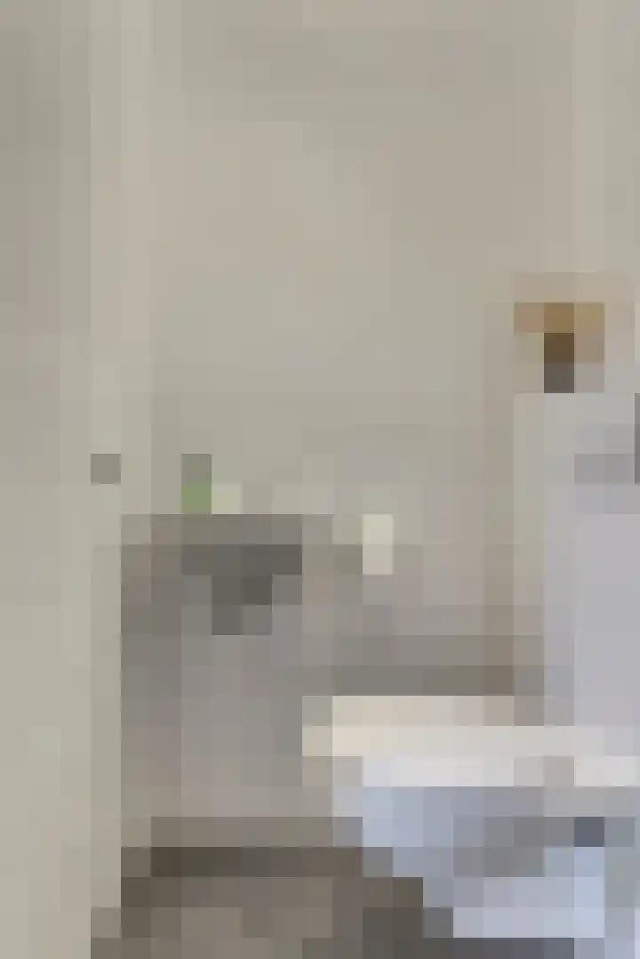 Kalmoeslaan 27 Elst thumbnail 23
