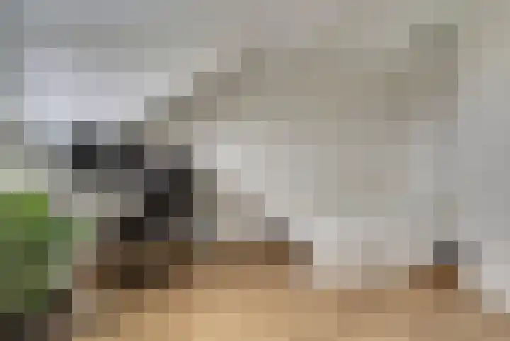 Kalmoeslaan 27 Elst thumbnail 25