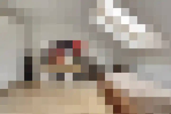 Kalmoeslaan 27 Elst thumbnail 28