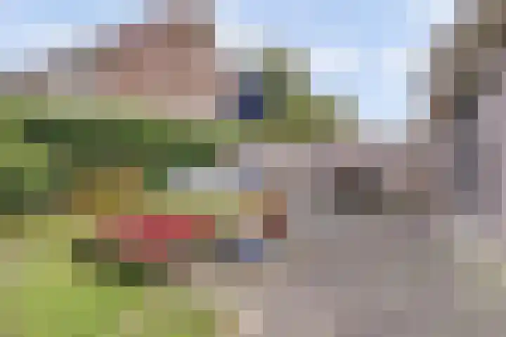 Kalmoeslaan 27 Elst thumbnail 32