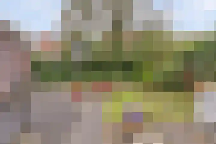 Kalmoeslaan 27 Elst thumbnail 33