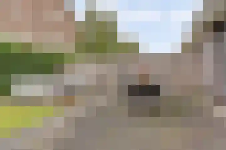 Kalmoeslaan 27 Elst thumbnail 34