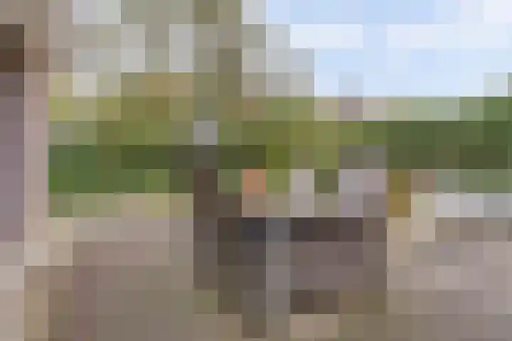 Kalmoeslaan 27 Elst thumbnail 36