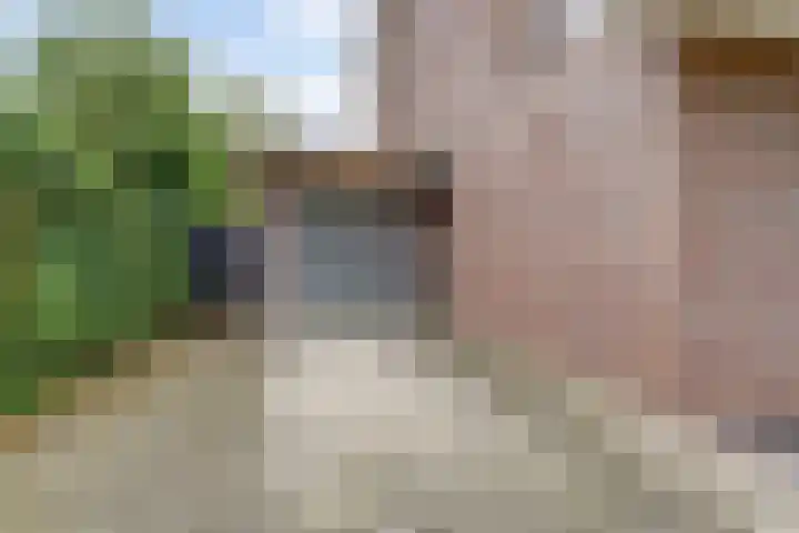 Kalmoeslaan 27 Elst thumbnail 37