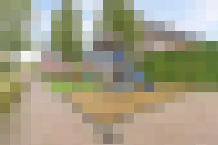 Kalmoeslaan 27 Elst thumbnail 39