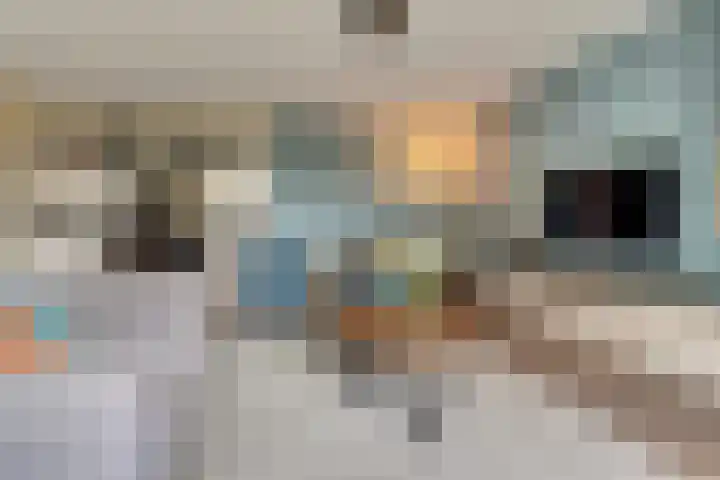 Kalmoeslaan 27 Elst thumbnail 4