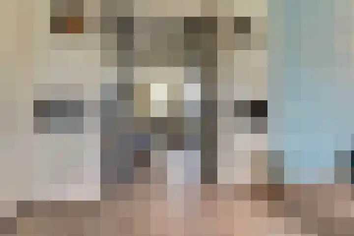 Kalmoeslaan 27 Elst thumbnail 6