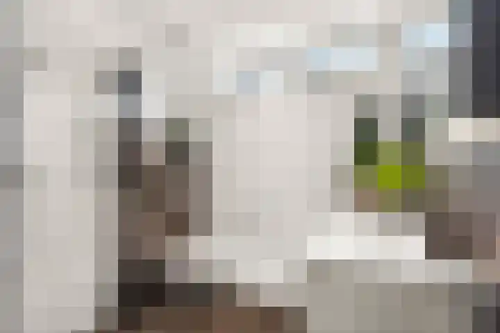Kalmoespad 5 Almere thumbnail 28