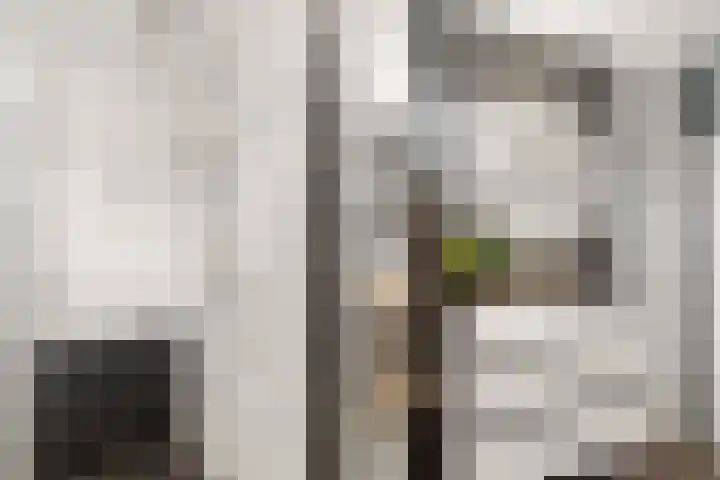 Kalmoespad 5 Almere thumbnail 29