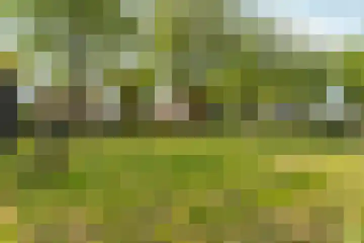 Kalmoespad 5 Almere thumbnail 41